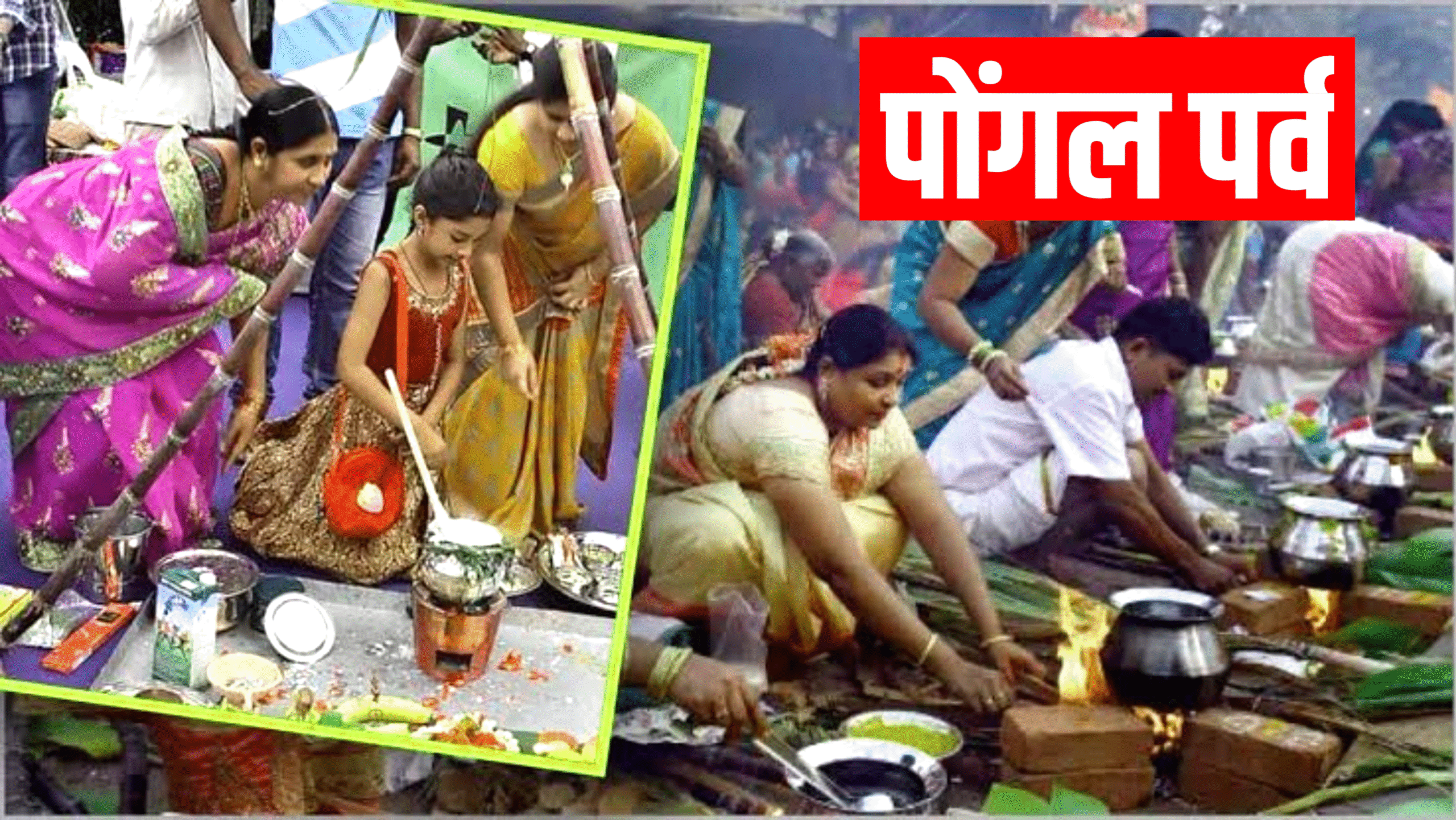 Pongal 2026: पोंगल कब है, और क्यो मनाया जाता है?