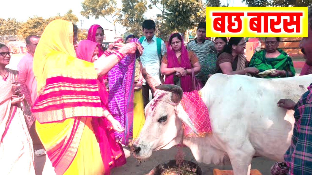 Bach Baras 2026: कब है बछ बारस, नोट कर ले, पूजा शुभ मुहूर्त, पूजा विधि व महत्व