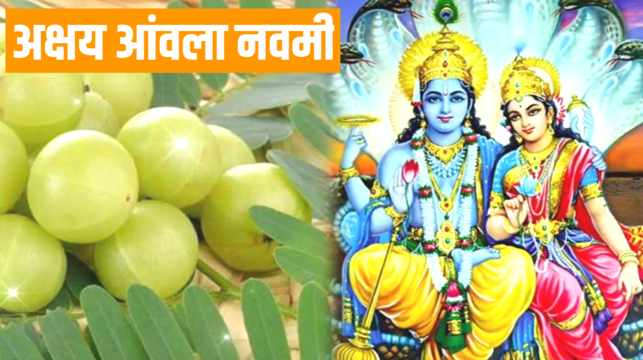 Akshaya Navami 2026: कब है अक्षय आंवला नवमी, नोट करे पूजा विधि, शुभ मुहूर्त व कथा Akshaya Navami 2026